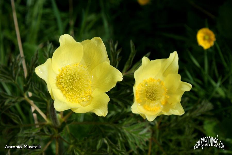 13 Colori della natura2.jpg